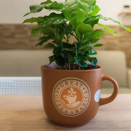 Appartement Il Tempo Di Un Caffe *